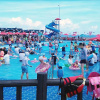 Отель Seogwipo Olleh Road Pension, фото 17