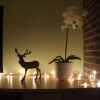Отель Lush Holiday Home on the Edge of the Hautes Fagnes, фото 12