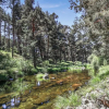 Отель Awesome home in Navarredonda de Gredos with WiFi and 3 Bedrooms, фото 11