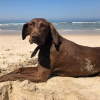 Отель Beachliving Cortegaca, фото 24