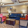Отель Comfort Inn & Suites, фото 11