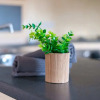 Отель Guestready - Vibrant & Warm Apartment in Central Birmingham, фото 15