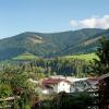 Отель Animal -friendly Apartment in Leogang, фото 11