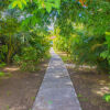 Отель Picard Beach Cottage Resort Limited, фото 15