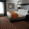 Отель Holiday Inn Express & Suites Nashville Southeast - Antioch, an IHG Hotel, фото 4