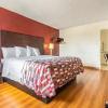 Отель Red Roof Inn Phoenix - Midtown, фото 4