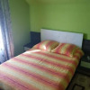 Отель Pensiunea Laura, фото 5