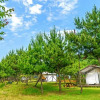 Отель seocheon paintree glamping, фото 4