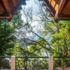 Отель The Camphor Tree-Pura Stays, фото 14