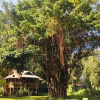 Отель Golden Hut -Chill Bungalows in town黄金泰式传统独栋小屋, фото 1