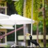 Отель Anjungan Beach Resort, фото 17