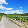 Отель Les Vendanges, фото 14