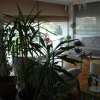 Отель Sarıçay Rhodius Otel, фото 13