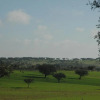 Отель Herdade do Monte Outeiro - Turismo Rural, фото 2