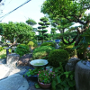 Отель Ryokan Isuzu, фото 33
