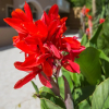 Отель Kozanos Hotel & Suites, фото 30