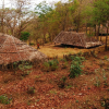 Отель K. Gudi Wilderness Camp, фото 4