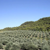 Отель Domaine de Piegros, фото 23