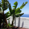 Отель Finca El Biclen, фото 12