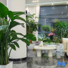 Отель Fuxian Lake Xizi You have an appointment for a holiday homestay, фото 6