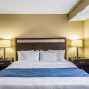 Отель Comfort Inn, фото 6