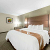 Отель Quality Inn Mishawaka - South Bend, фото 7