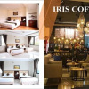 Отель Iris Hotel Halong, фото 14
