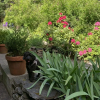 Отель Salt Spring Carriage House B&B, фото 18