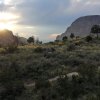 Отель Chisos Mountain Lodge, фото 7