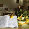 Отель Agriturismo Casallario, фото 6