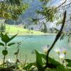 Отель Berghotel Obersee, фото 3