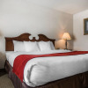 Отель Comfort Inn & Suites East Greenbush - Albany, фото 6
