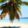 Отель Sangri Las Beach Resort-Havelock Island, фото 9