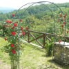 Отель Casa Pastano, Stunning Farmhouse in Italian Hills, фото 23