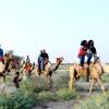 Отель Barna Desert Camp, фото 10