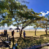 Отель Fortuna Beach, фото 18