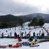 Отель Snow Resort Nekoyama Log Cottage, фото 13
