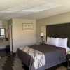 Отель Regency 7 Motel, фото 6