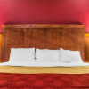 Отель Econo Lodge Rochester, фото 13