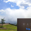 Отель Yun Shang Wu Tian Guesthouse, фото 13