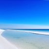 Отель Ocean Paradise Luxurious Miramar Beach 5bd!, фото 22