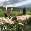 Отель Bran Monte Crai Chalet, фото 25