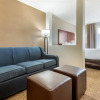 Отель Comfort Inn & Suites, фото 7