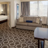 Отель Embassy Suites by Hilton St. Louis Airport, фото 12