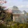 Отель Botanic Garden 2 Bedroom Apartment in Edinburgh, фото 12