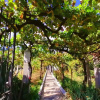 Отель Morin Grey casa en el corazón de la Ribeira Sacra, фото 11