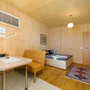 Отель Appartement - Vollholz Studio im Zentrum von Flachau, фото 7