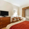 Отель Comfort Inn, фото 5