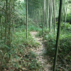 Отель Moganshan Family Inn, фото 8