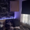 Отель A&P Sheron Holiday Home - Millfields, фото 10